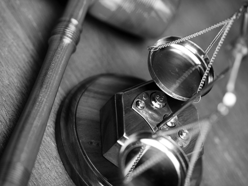 Etiam dictum egestas